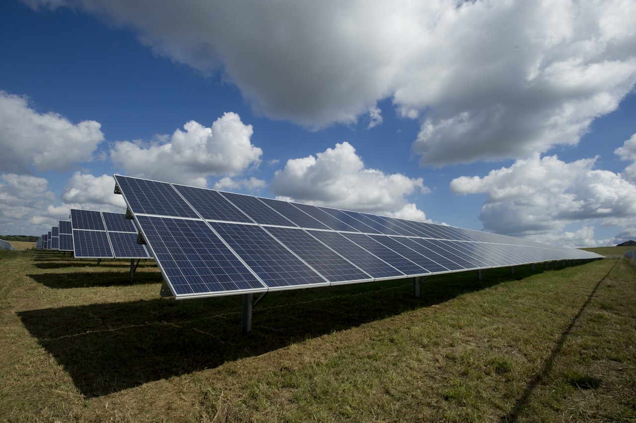 Campo de paneles solares